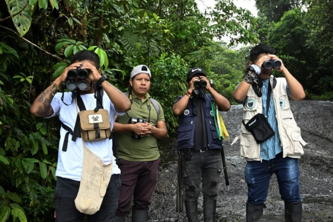 Des membres de la garde environnementale indigène dans la réserve El Gran Sabalo, près d'El Diviso, dans le département du Narino, en Colombie, le 31 août 2024