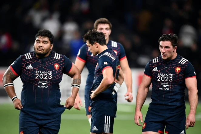 L'équipe de France avec Sébastien Taofifenua, François Trinh-Duc et Camille Chat après le match nui face au Japon, le 27 novembre 2017 à Nanterre
