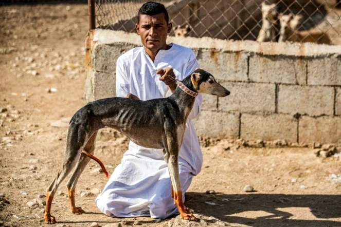 Mohammed Derbas éleveur de lévriers est assis à côté d'un de ses chiens, dans le village de Derbassiyé (nord-est de la Syrie), le 26 octobre 2020