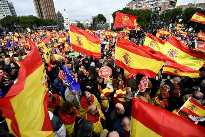 Des manifestants de droite et d'extrême droite réunis le 10 février 2019 place Colon à Madrid contre le Premier ministre socialiste Pedro Sanchez