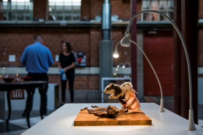 Le cochon d'Inde, une spécialité culinaire du Pérou, le 7 novembre 2018 au "Musée de la nourriture dégoûtante" à Malmö en Suède