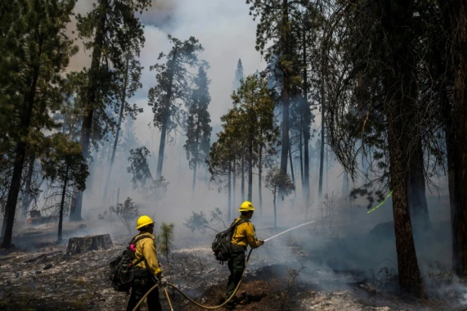 Des pompiers luttent contre un incendie dans le parc national de Yosemite en Californie, le 11 juillet 2022