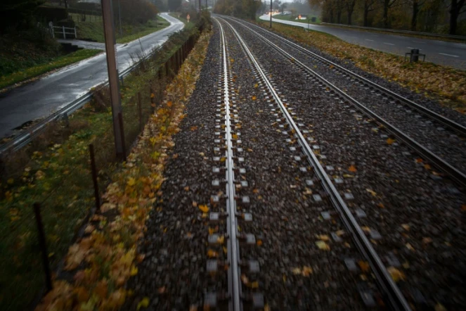 Des feuilles mortes mises sur le côté par le "train bosseur" sur la ligne entre Saint-Pierre-des-corps et Vierzon, le 18 novembre 2016