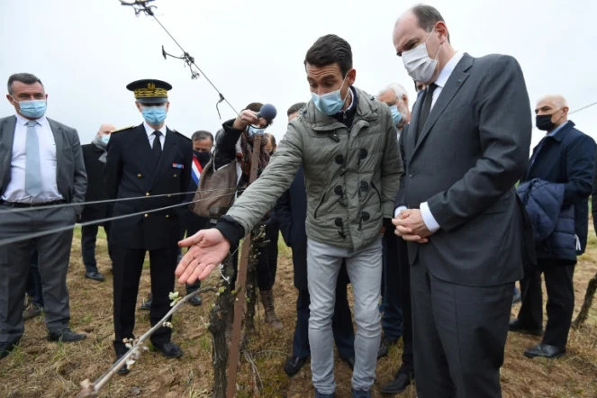Le Premier ministre Jean Castex (d) constate les dégâts dus au gel auprès d'un vigneron à Montagnac, près de Béziers, le 17 avril 2021