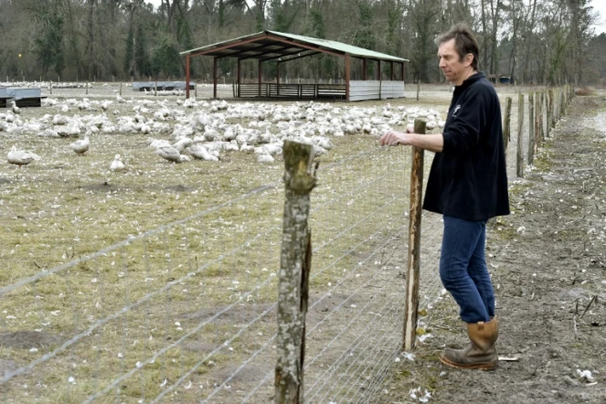 L'éleveur de canards français Bertrand Duval dans sa ferme à Bourriot-Bergonce, dans le sud-ouest de la France, le 22 février 2017