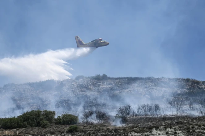 Un avion Canadair largue sa cargaison d'eau sur un incendie de forêt près de Volos, le 27 juillet 2023 en Grèce