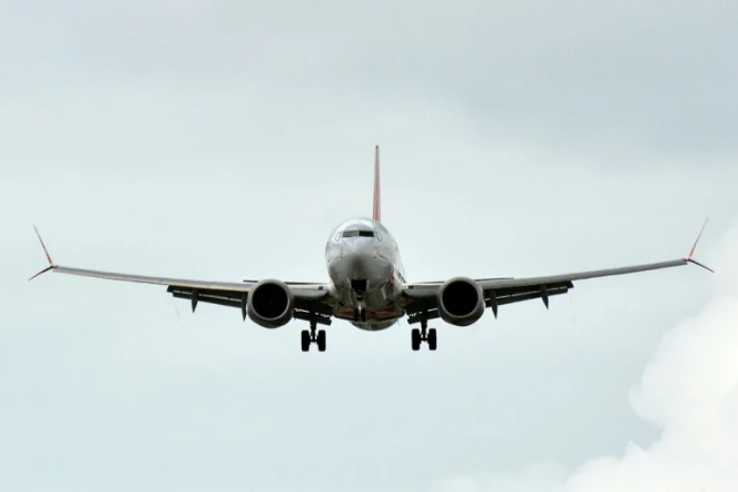 Le Boeing 737 MAX de la compagnie brésilienne Gol en phase d'atterrissage à l'aéroport de Porto Alegre, le 9 décembre 2020 