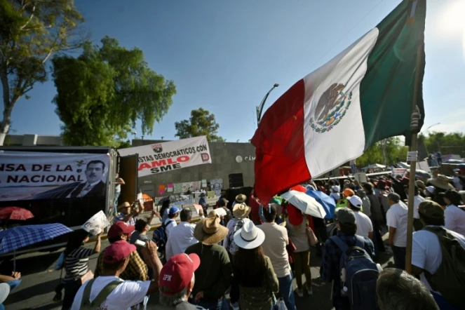 Manifestation en faveur du projet de réforme constitutionnelle renforçant le rôle du secteur public dans la production d'électricité, devant la Chambre des députés, à Mexico le 17 avril 2022