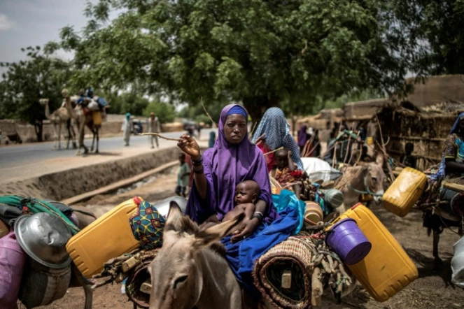 Une famille peule en transhumance au Niger, le 24 juin 2019