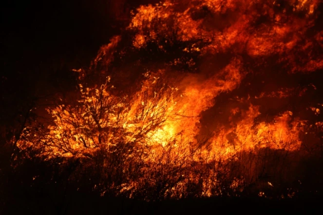 Les flammes de l'incendie qui ravage Moreno Valley, en Californie, le 15 juillet 2023