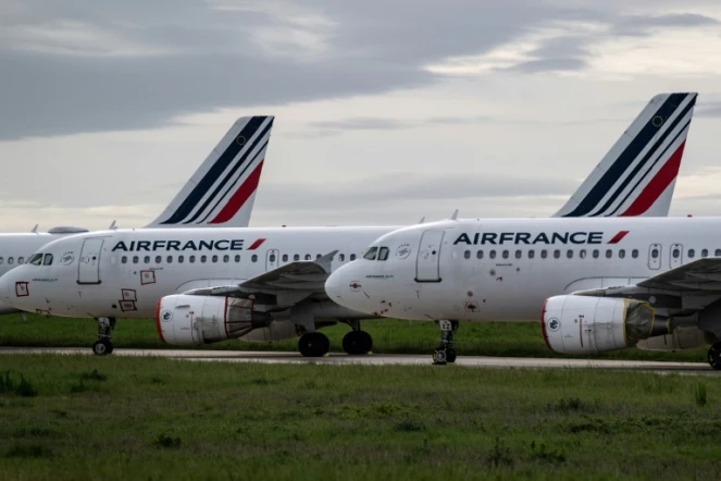 Des avions de la compagnie Air France sur le tarmac de l'aéroport de Roissy-Charles-de-Gaulle, le 30 avril 2020
