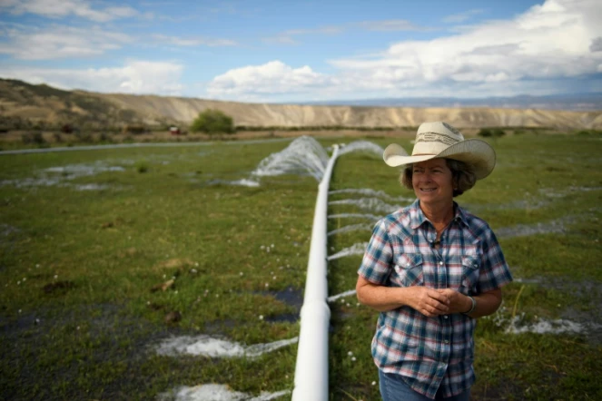 L'éleveuse Janie VanWinkle déplore la sécheresse qui force à irriguer sans beaucoup de résultats, après 3 années de sécheresse dans le Colorado