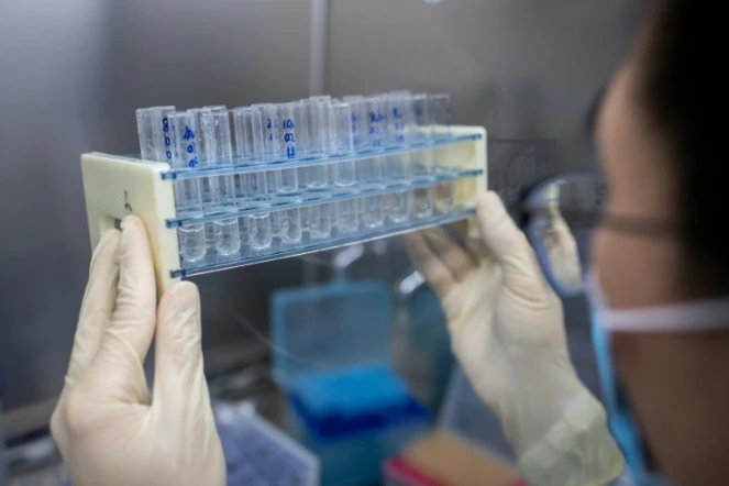 Des chercheurs  travaillent sur un vaccin le 29 avril 2020 dans un laboratoire à Pékin