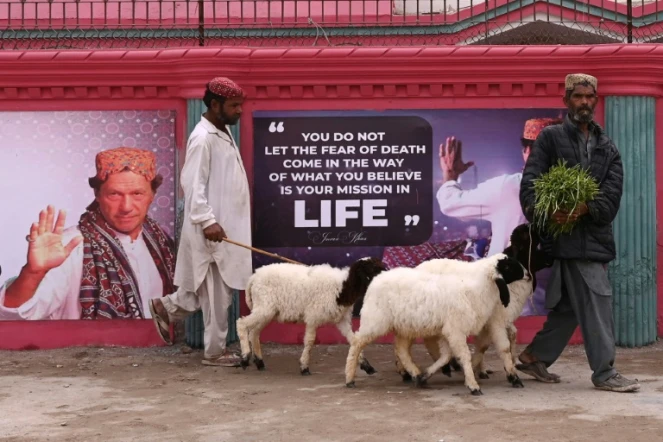 Des marchands de bétail passente devant des affiches à l'effigie de l'ex-Premier ministre pakistanais Imran Khan à Hyderabad, au Pakistan, le 30 janvier 2024