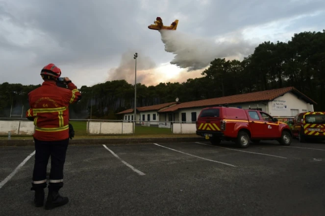 Un avion bombardier d'eau canadair de la Securité civile survole la forêt de Chiberta à Anglet dans les Pyrénées-Atlantiques, le 30 juillet 2020