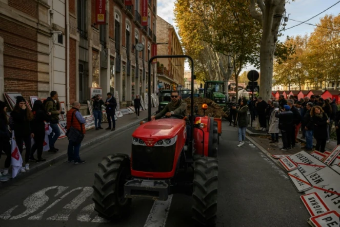 Des agriculteurs participent à une manifestation organisée par le syndicat Jeunes Agriculteurs (JA) devant la préfecture des Pyrénées-Orientales à Perpignan, le 26 novembre 2024