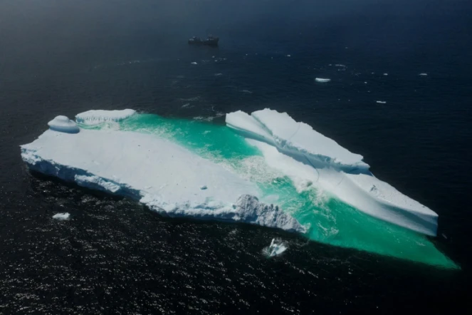 Un iceberg flotte près de Terre-Neuve, le 29 juin 2019.