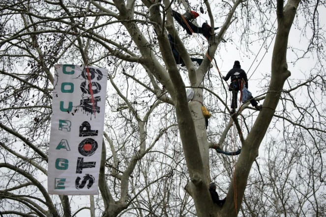 Des militants du GNSA (Groupe national de surveillance des arbres) perchés dans un arbre près d'une banderole "Courage, Stop A69" lors d'une manifestation contre la construction de l'autoroute A69, devant le tribunal administratif de Toulouse, le 17 février 2025 en haute-Garonne