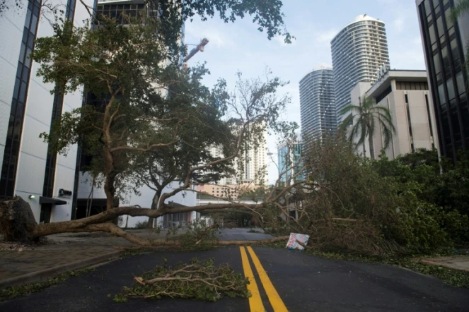 Une rue de Miami après le passage d'Irma, le 11 septembre 2017