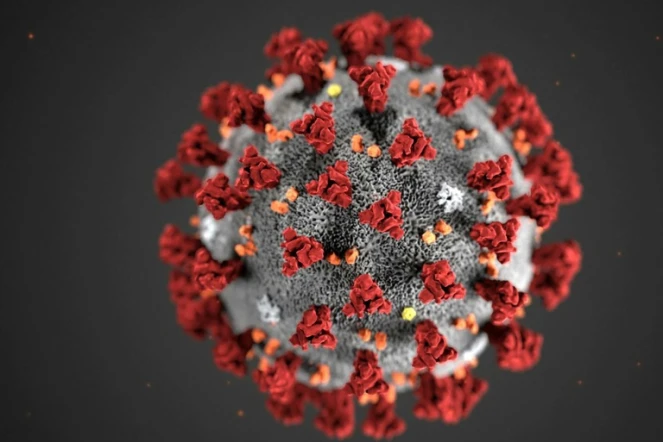 Image d'illustration diffusée le 3 février 2020 par le Centre de contrôle et de protection des maladies infectieuses montrant la morphostructure des coronavirus