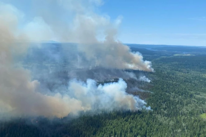 Un feu de forêt en Colombie-Britannique, au Canada, le 2 juillet 2021