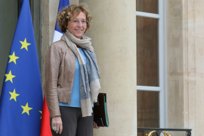 La ministre du Travail Muriel Pénicaud, le 2 novembre 2017 sur le perron de l'Elysée à Paris
