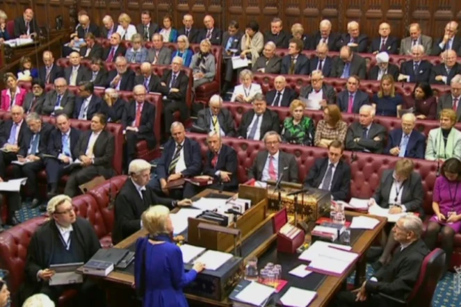 Une capture vidéo de la télévision du Parlement britannique (PRU) montre Dianne Hayter, baronne Hayter de Kentish Town, s'adresse à la Chambre des Lords lors de la deuxième journée du projet de loi sur l'avis de retrait de l'Union européenne , à Londres, le 1er mars 2017