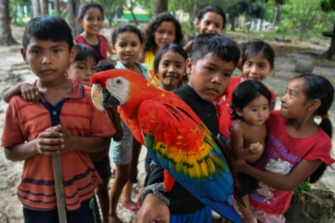Des enfants de la tribu munduruku dans la réserve indigène d'Itaituba dans l'Amazonie brésilienne le 10 septembre 2019