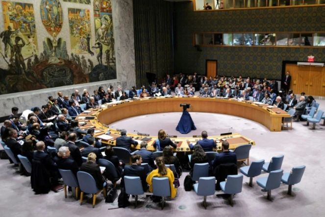 Le Conseil de sécurité de l'ONU en séance, le 23 janvier 2024 à New York