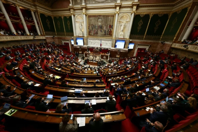 Vue générale de l'hémicycle de l'Assemblée nationale, le 7 novembre 2023 à Paris