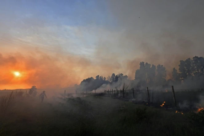 Un incendie de forêt près de Melloula, dans le nord-ouest de la Tunisie, près de la frontière avec l'Algérie, le 24 juillet 2023