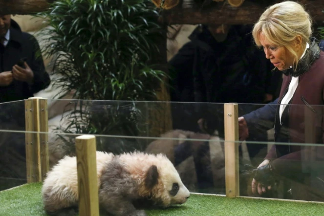 L'épouse du président français, Brigitte Macron, marraine du bébé panda Yuan Meng, le 4 décembre 2017 au zoo de Beauval