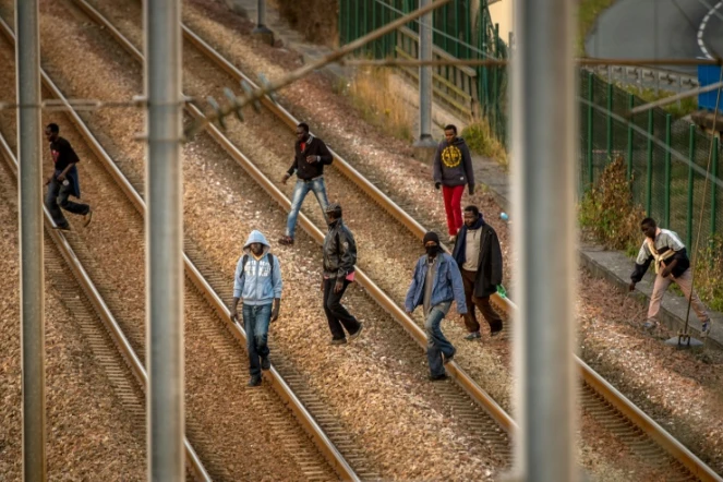 Des migrants sur les rails du site d'Eurotunnel à Coquelles, le 12 août 2015