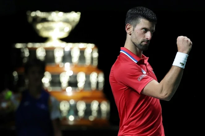 Novak Djokovic fête la qualification de la Serbie pour les demi-finales de la Coupe Davis, après sa victoire contre le Britannique Cameron Norrie, le 23 novembre 2023 à Malaga