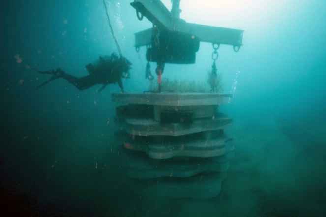 Des plongeurs déposent des récifs artificiels "hôtel à poissons" d'une dizaine de tonnes à 30 mètre de profondeur les eaux usées au large des calanques de Marseille, le 30 janvier 2018