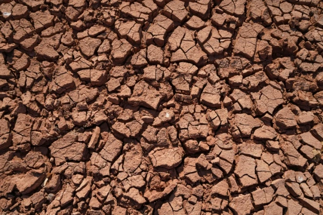 Sécheresse à Dohuk, dans le nord de l'Irak, en novembre 2021
