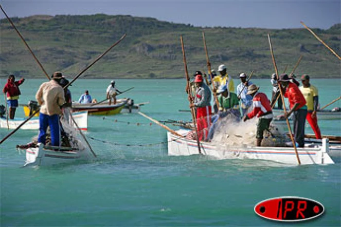 Image de pêche à la senne à l'île Rodrigues
