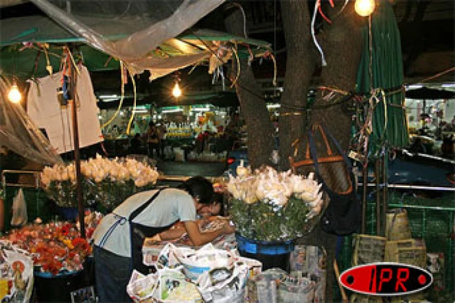 Novembre 2006 -

Pakklongtalad, le marché aux fleurs de Bangkok