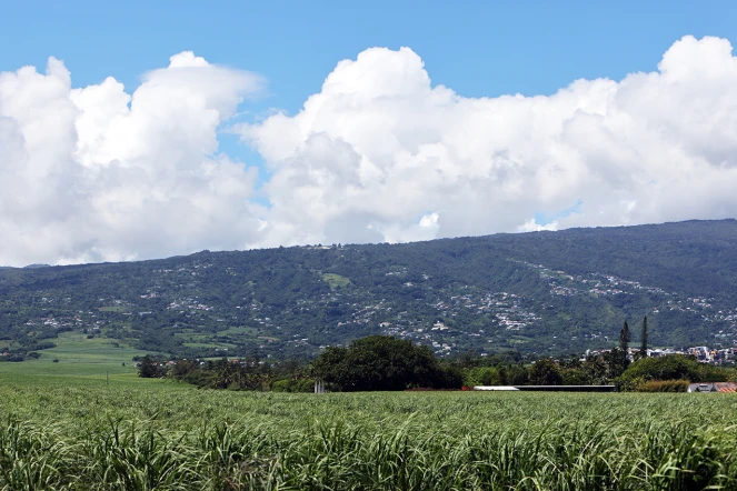 météo réunion