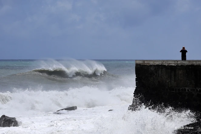 Cyclone Freddy