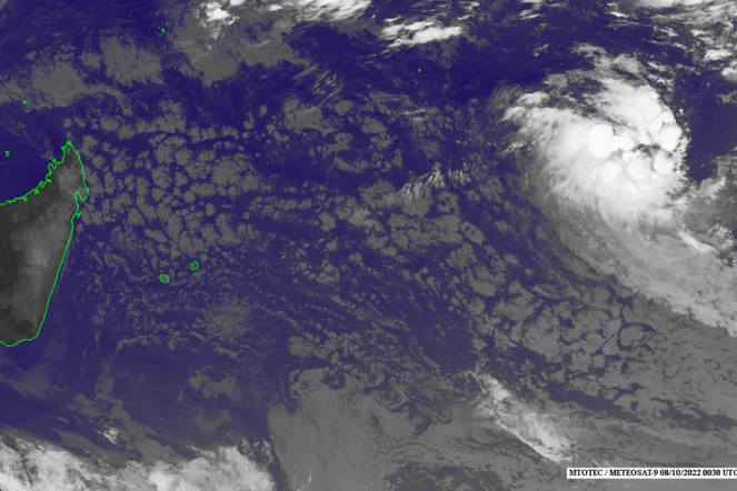 tempête tropicale modérée Balita
