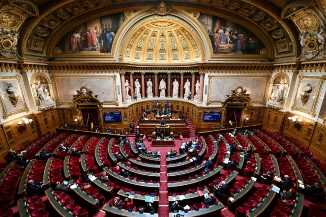 Energies renouvelables: ultime vote au Sénat pour l'adoption définitive