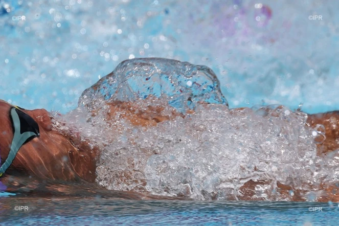 natation méeting du Port