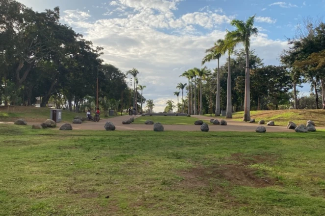 parc boisé au port