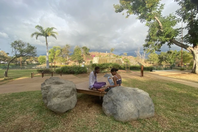 parc boisé au port
