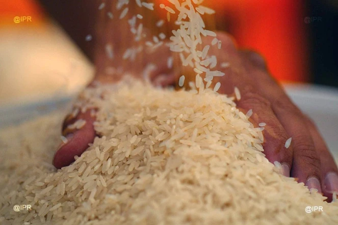 riz