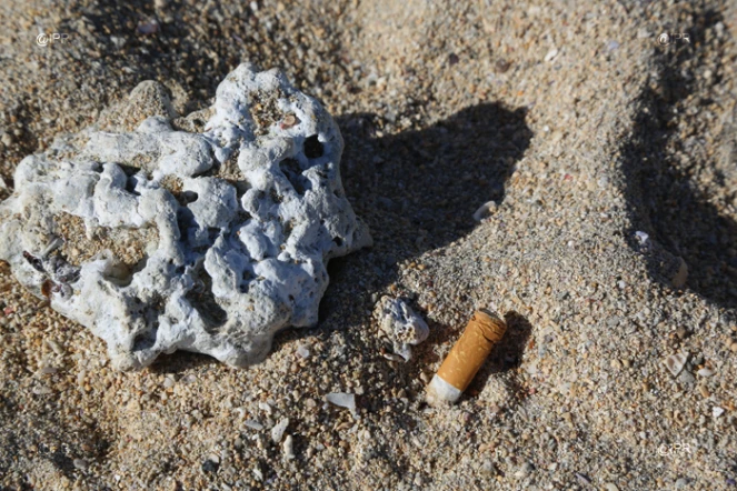 cigarettes