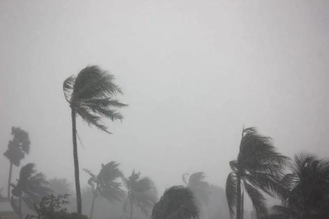 Conseils en cas de cyclone par le TCO