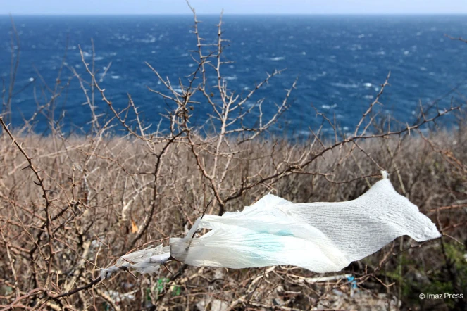 Déchets plastiques