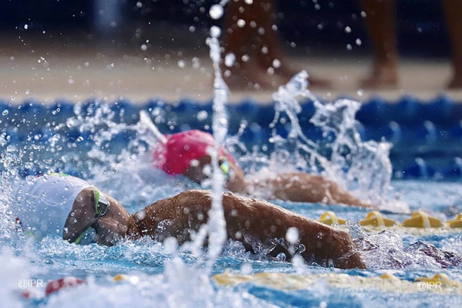 Championnat de natation de La Réunion